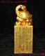 4 China bronze 24k gold gilt Feng shui dragon turtle text seal Stamp signet