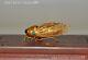 Ancient China bronze 24k gold Gilt Feng Shui Lucky animal cicada Cicadas statue
